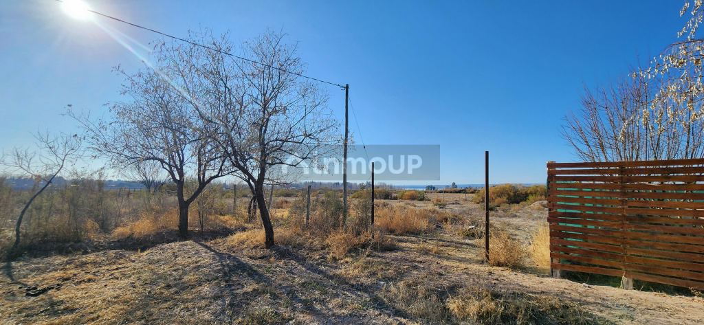Lote en Venta en Lujan de Cuyo, Mendoza