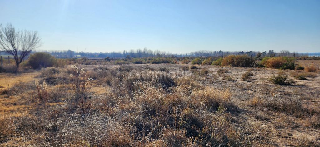 Lote en Venta en Lujan de Cuyo, Mendoza