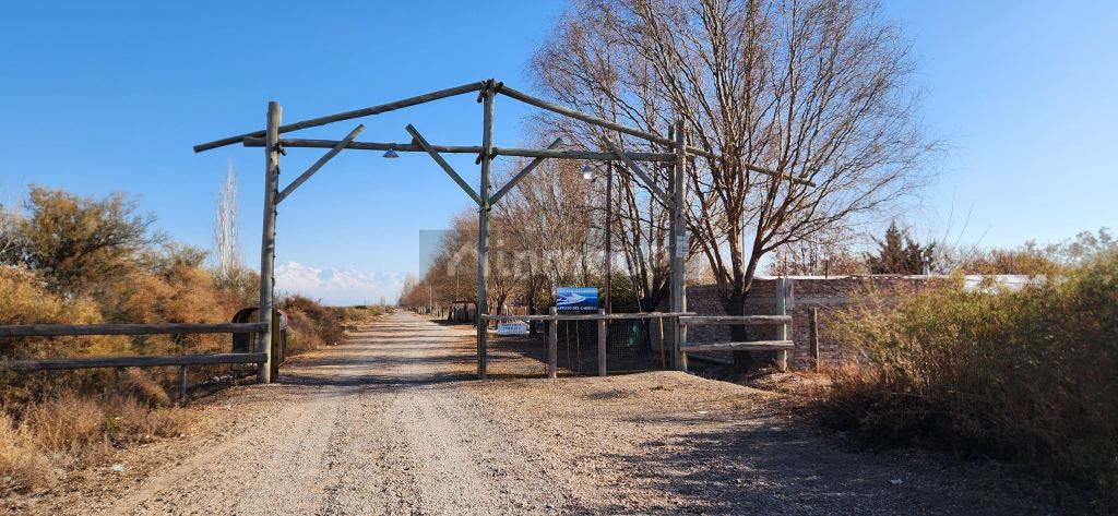 Lote en Venta en Lujan de Cuyo, Mendoza
