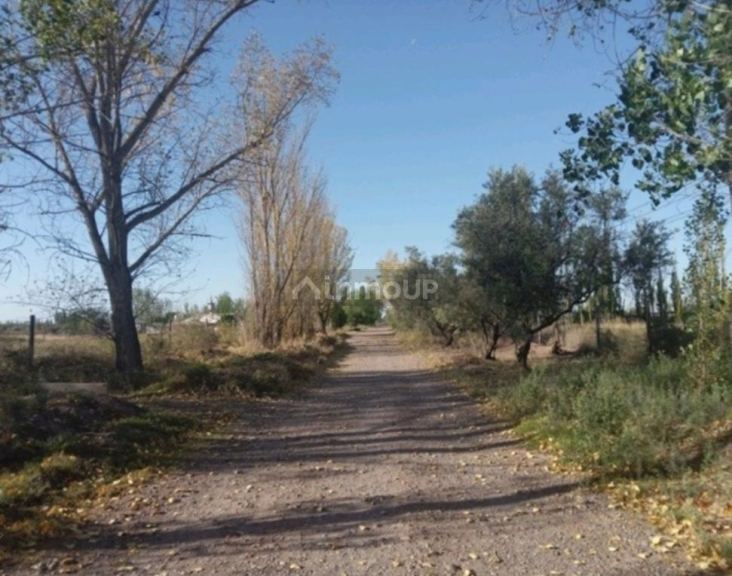 Galpon en Venta en Maipu, Mendoza