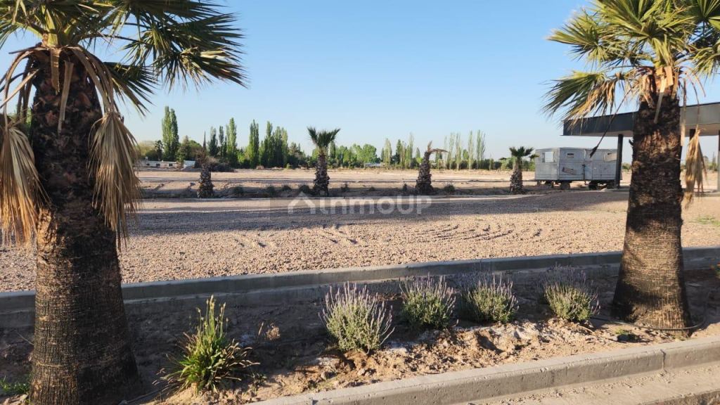 Lote en Venta en Lujan de Cuyo, Mendoza