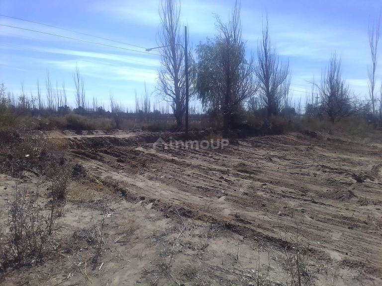 Lote en Venta en Junin, Mendoza