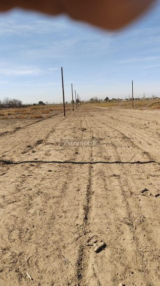 Lote en Venta en Junin, Mendoza