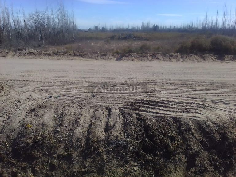 Lote en Venta en Junin, Mendoza