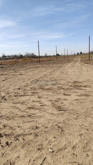 Lote en Venta en Junin, Mendoza