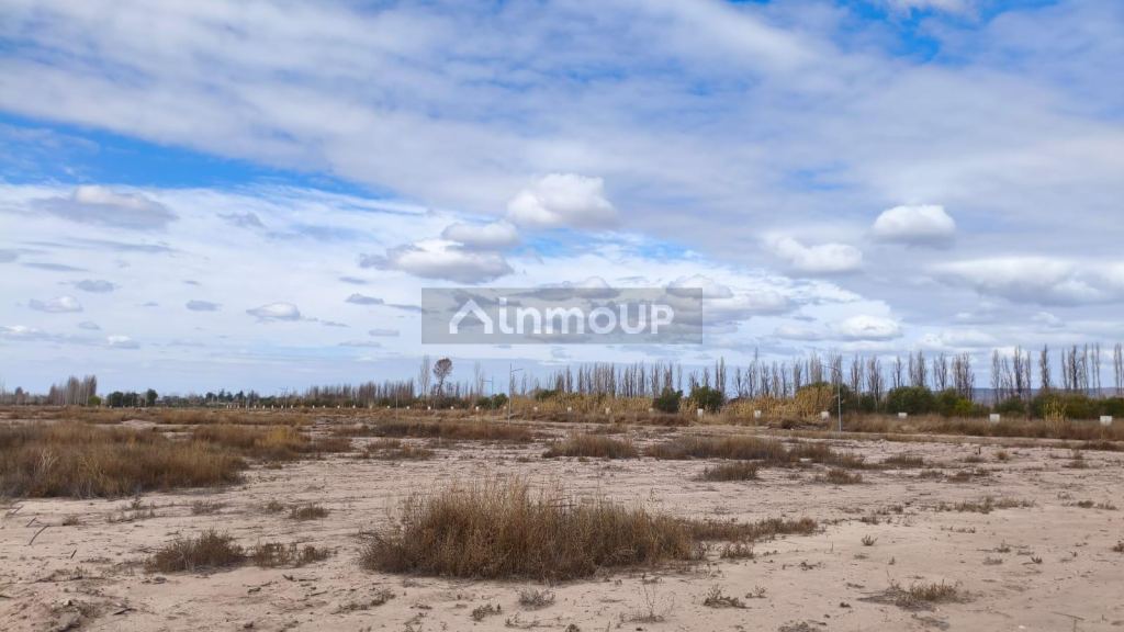 Lote en Venta en Lujan de Cuyo, Mendoza