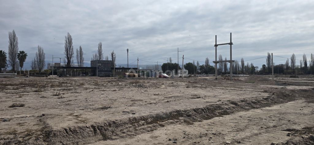 Lote en Venta en Lujan de Cuyo, Mendoza