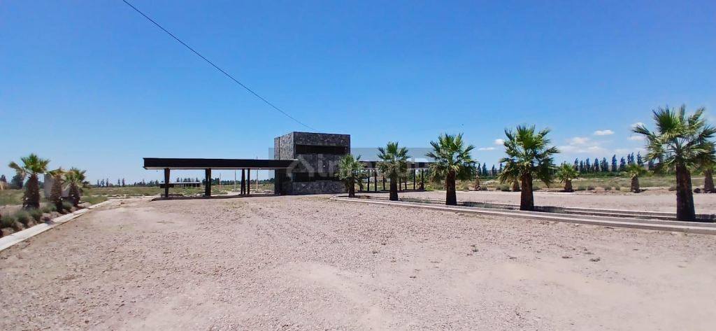 Lote en Venta en Lujan de Cuyo, Mendoza