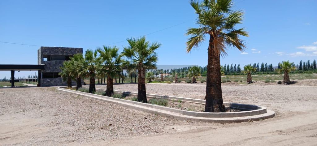Lote en Venta en Lujan de Cuyo, Mendoza