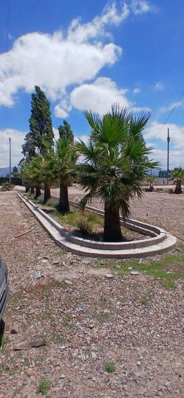Lote en Venta en Lujan de Cuyo, Mendoza