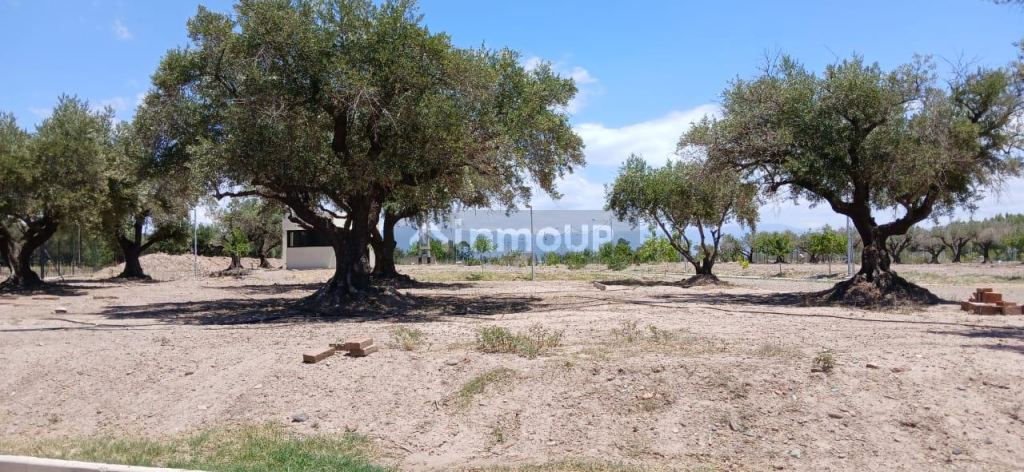 Lote en Venta en Maipu, Mendoza