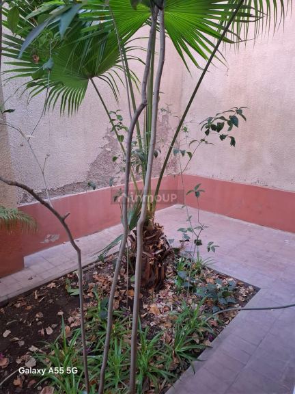 Departamento en Alquiler en Capital, Mendoza