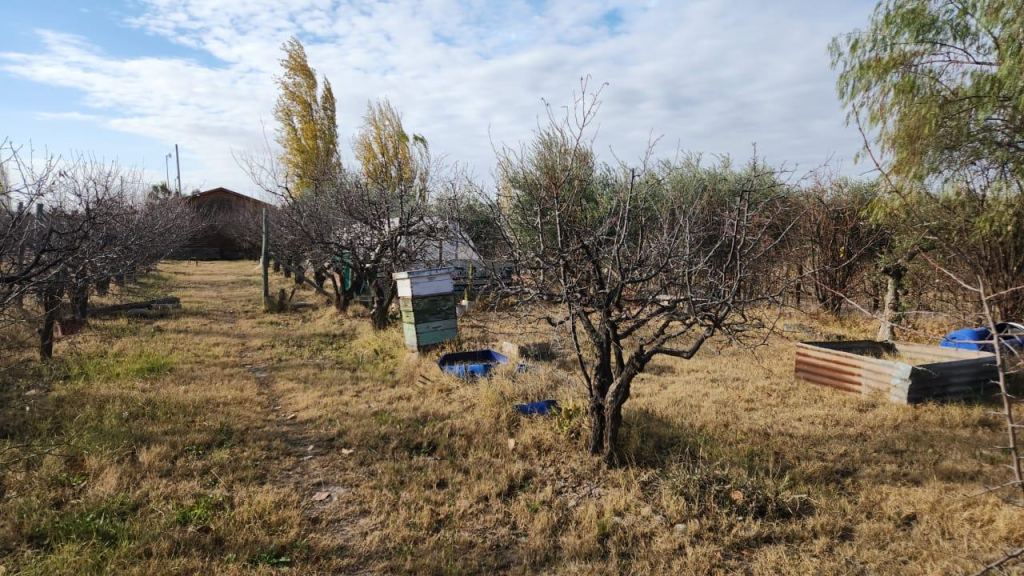 Casa en Venta en Maipu, Mendoza