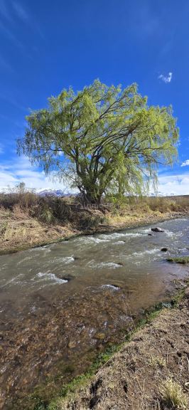 Lote en Venta en Las Heras, Mendoza - USD 20.000 | Inmoup - 23
