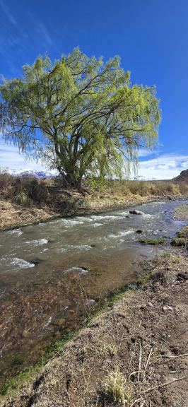 Lote en Venta en Las Heras, Mendoza - USD 20.000 | Inmoup - 22