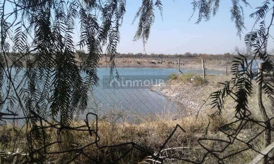 Finca en Venta en Santa Rosa, Mendoza