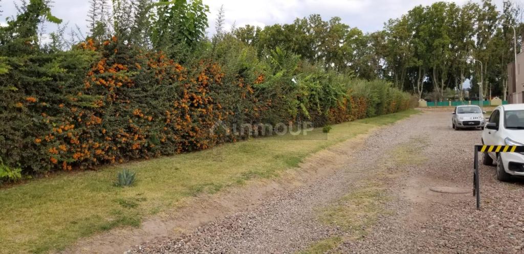 Lote en Venta en Lujan de Cuyo, Mendoza