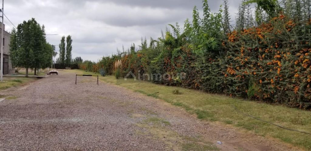 Lote en Venta en Lujan de Cuyo, Mendoza