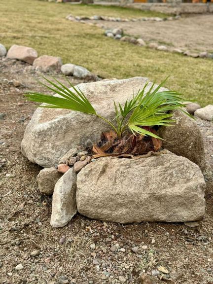 Cabaña en Venta en Lujan de Cuyo, Mendoza