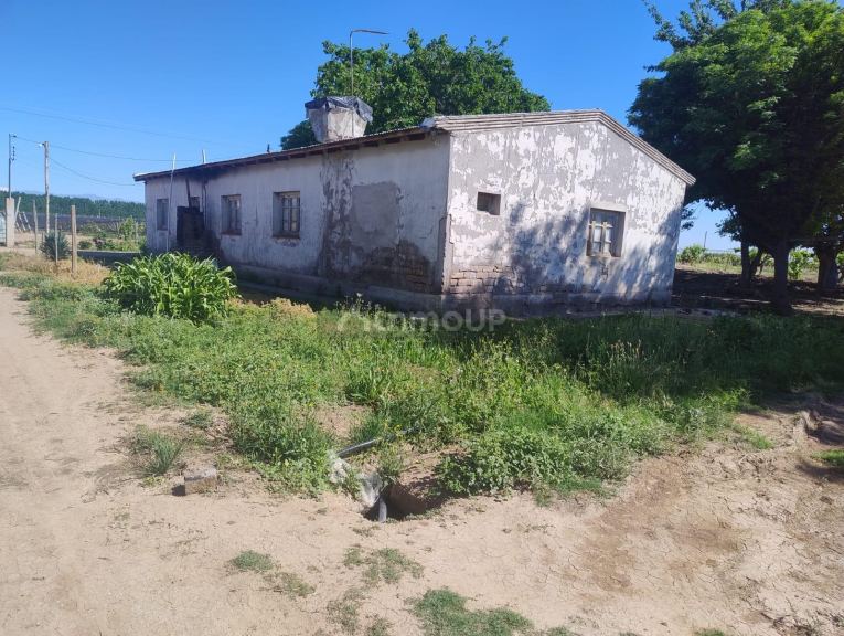Finca en Venta en Lujan de Cuyo, Mendoza