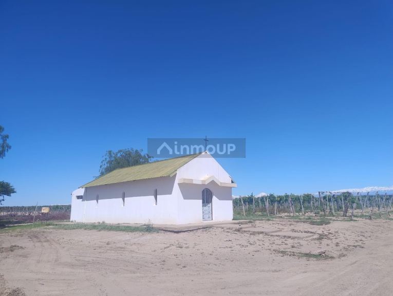 Finca en Venta en Lujan de Cuyo, Mendoza