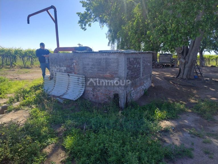 Finca en Venta en Lujan de Cuyo, Mendoza