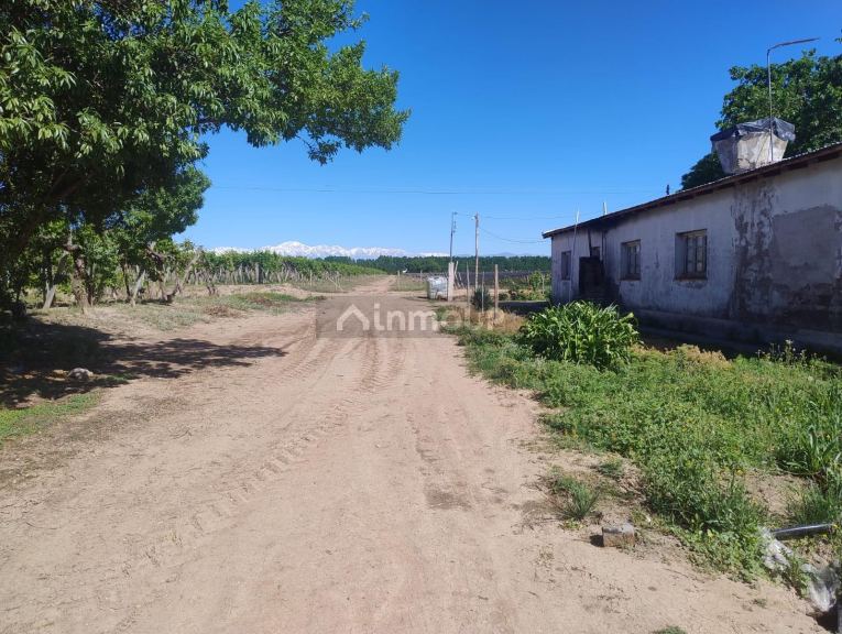 Finca en Venta en Lujan de Cuyo, Mendoza
