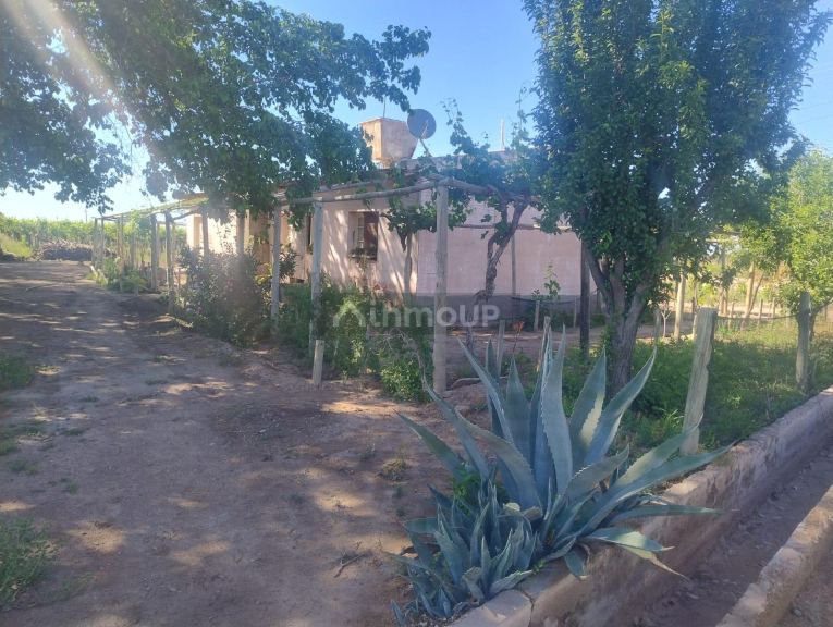 Finca en Venta en Lujan de Cuyo, Mendoza