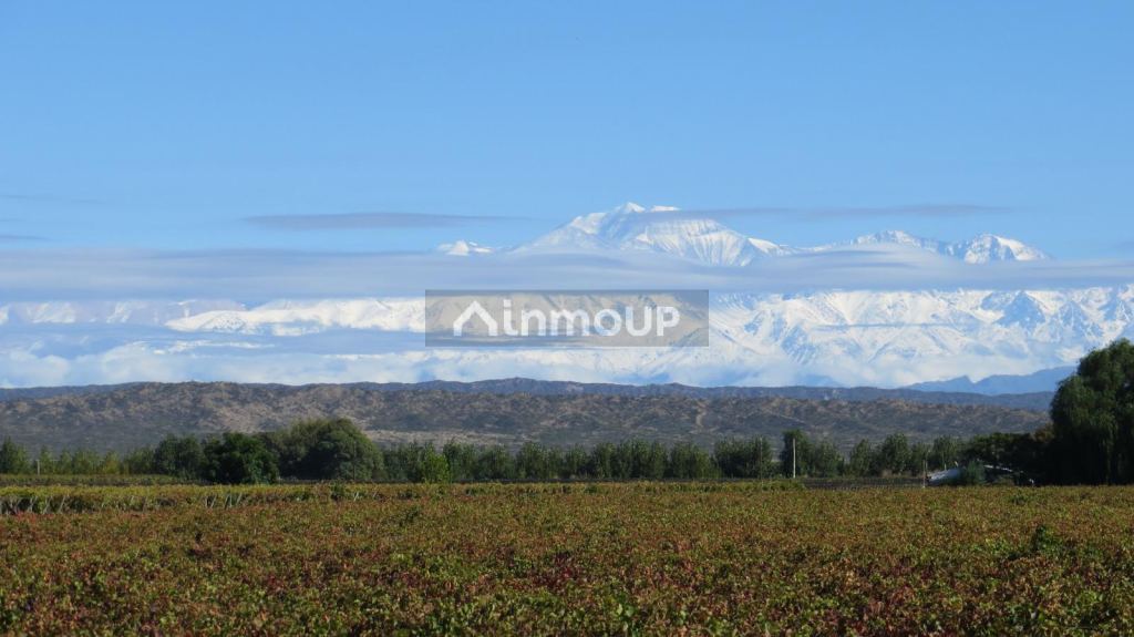 Finca en Venta en Lujan de Cuyo, Mendoza