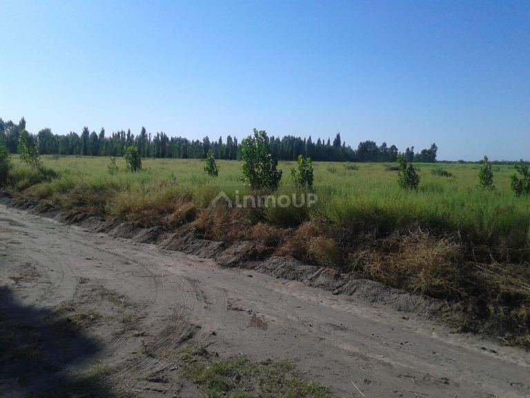 Campo en Venta en General alvear, Mendoza