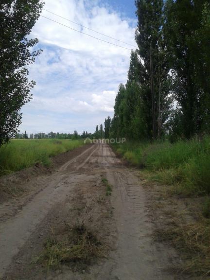 Campo en Venta en General alvear, Mendoza