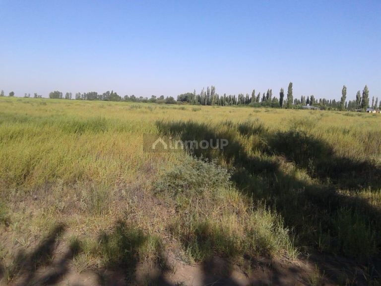 Campo en Venta en General alvear, Mendoza