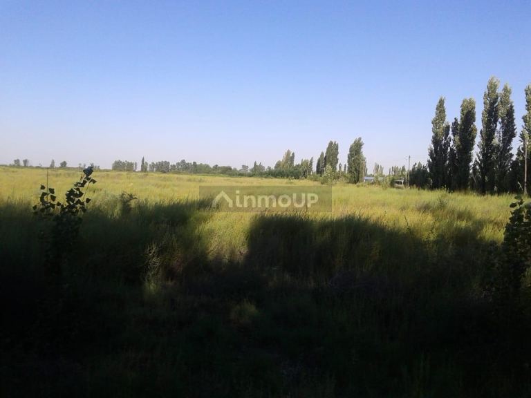 Campo en Venta en General alvear, Mendoza