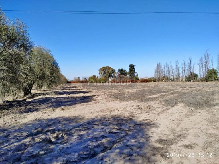 Lote en Venta en Maipu, Mendoza