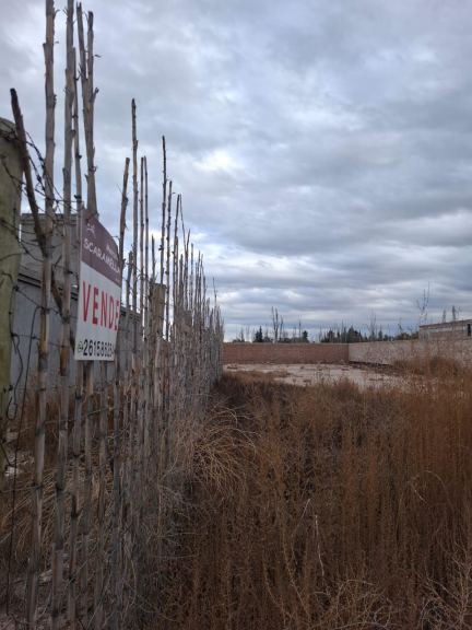Lote en Venta en Lujan de Cuyo, Mendoza