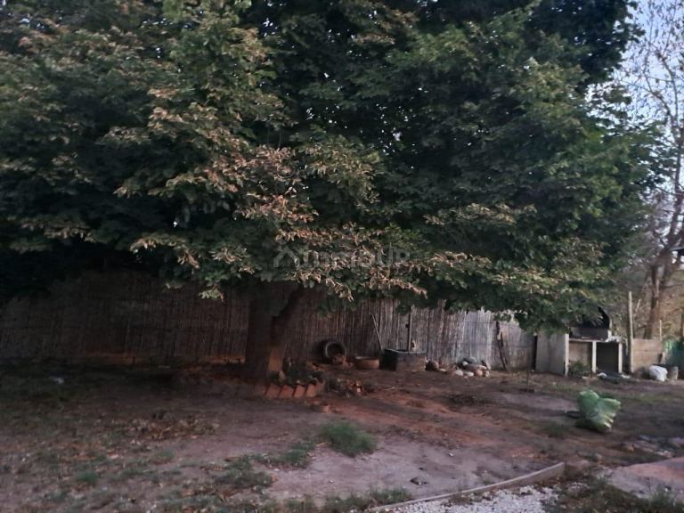 Casa en Alquiler en Godoy Cruz, Mendoza