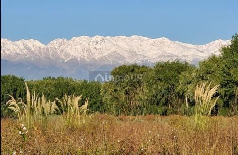 Lote en Venta en Tunuyan, Mendoza