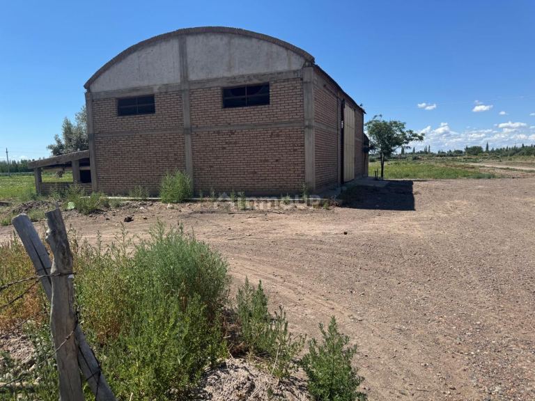 Finca en Venta en Junin, Mendoza