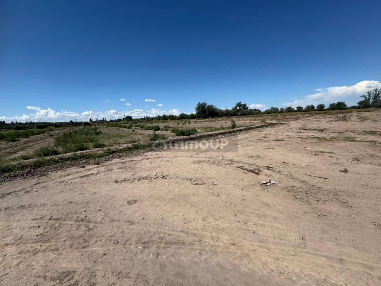 Finca en Venta en Junin, Mendoza