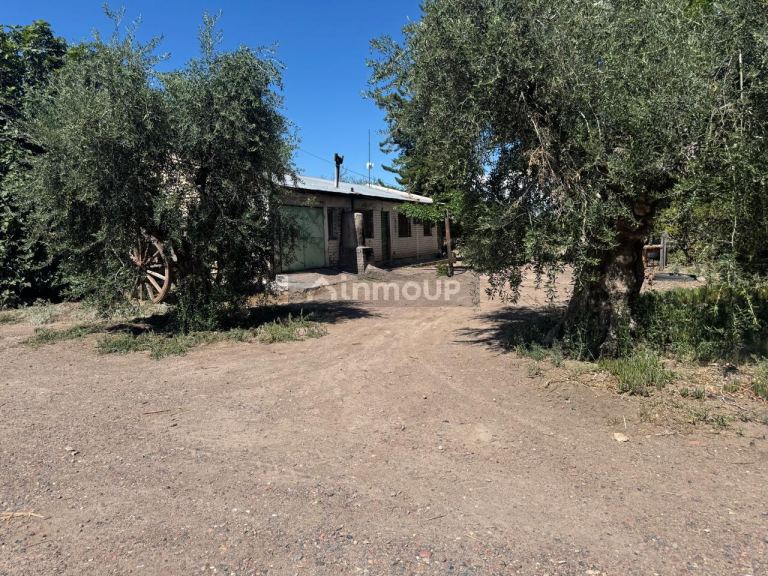 Finca en Venta en Junin, Mendoza