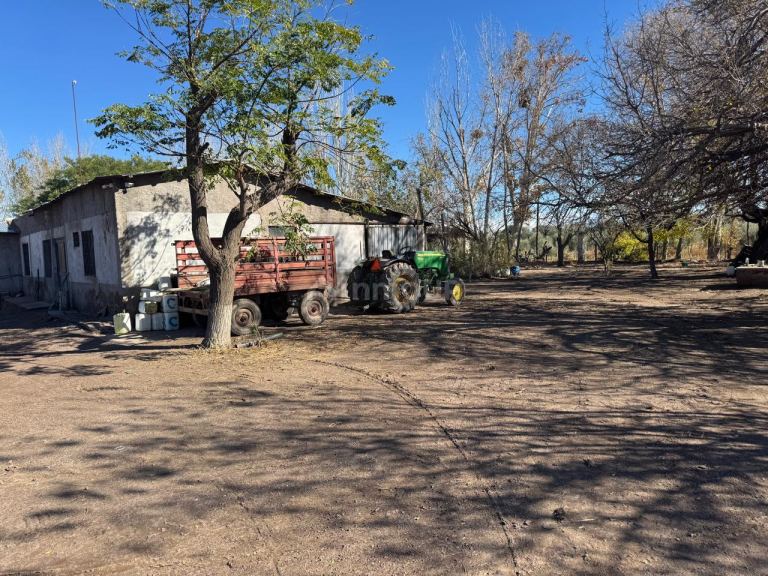 Finca en Venta en Junin, Mendoza