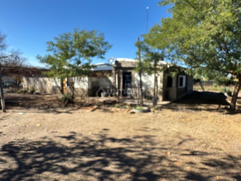 Finca en Venta en Junin, Mendoza