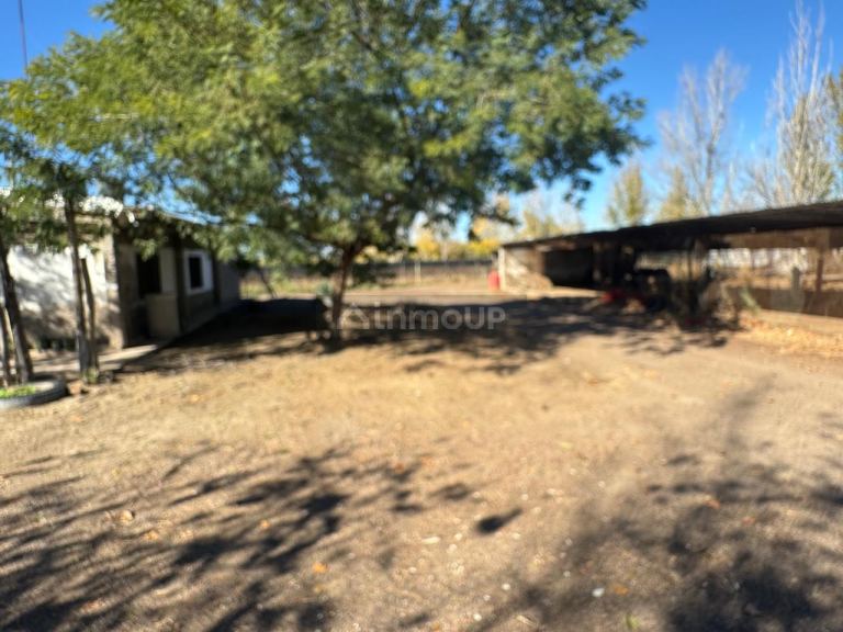 Finca en Venta en Junin, Mendoza