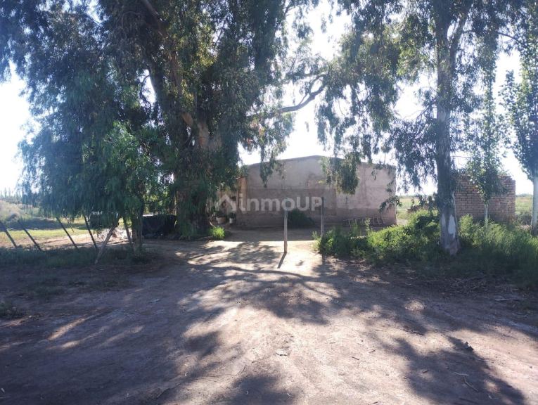 Finca en Venta en Lavalle, Mendoza