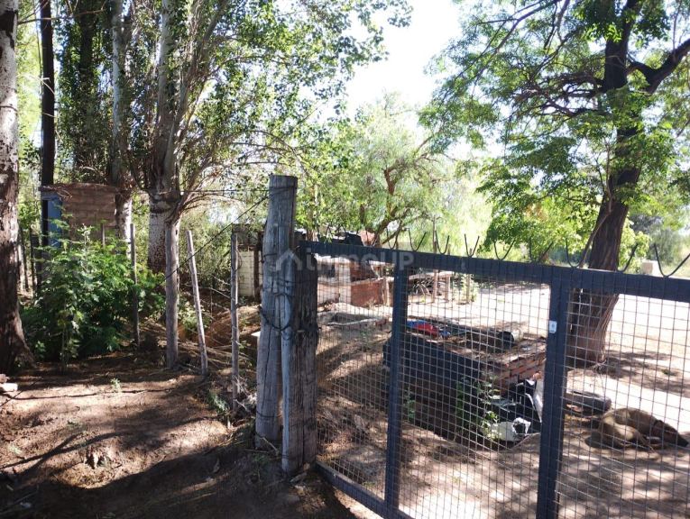 Finca en Venta en Lavalle, Mendoza