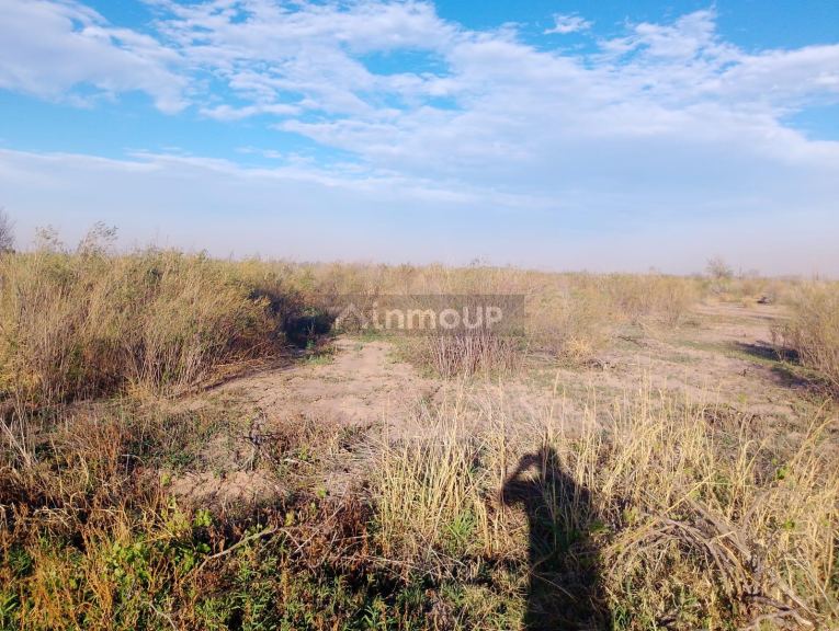Finca en Venta en Lavalle, Mendoza