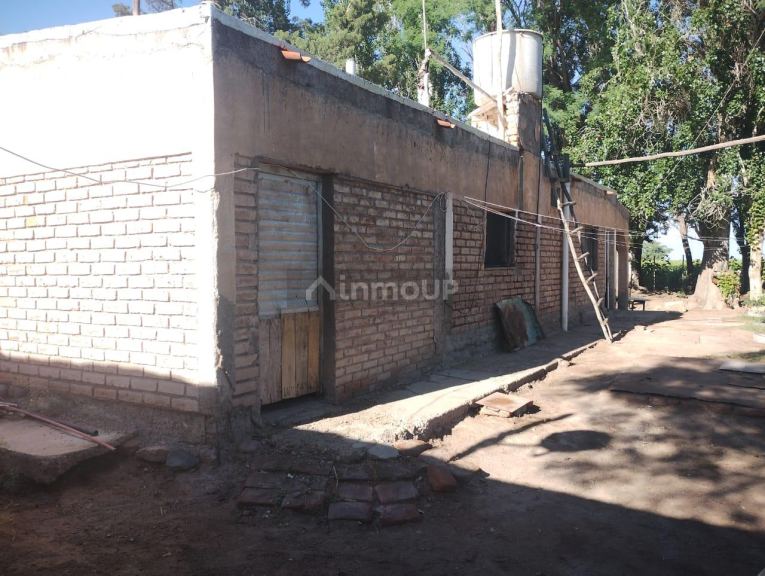 Finca en Venta en Lavalle, Mendoza