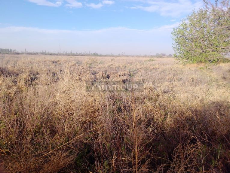 Finca en Venta en Lavalle, Mendoza