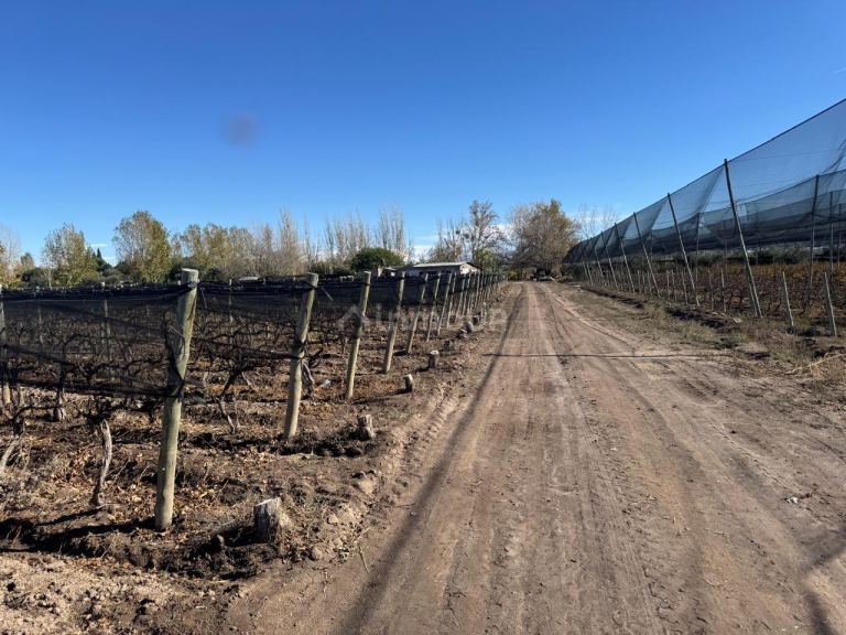 Finca en Venta en Guaymallen, Mendoza