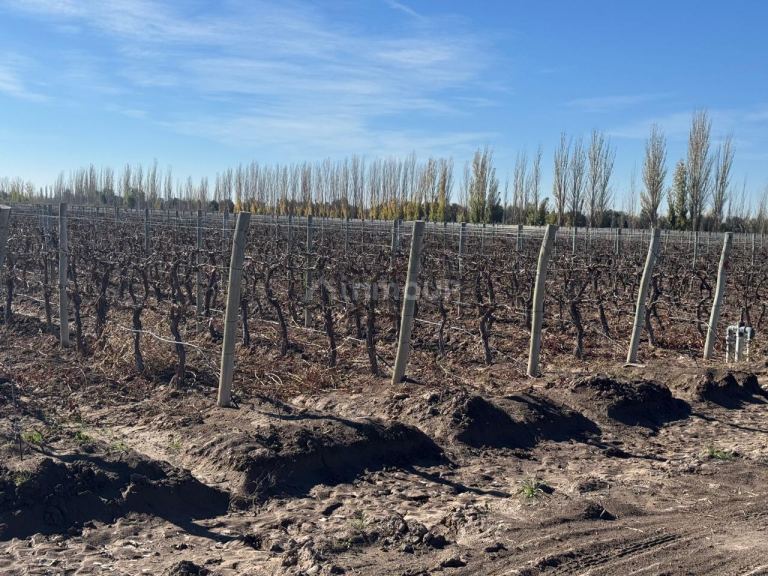 Finca en Venta en Guaymallen, Mendoza